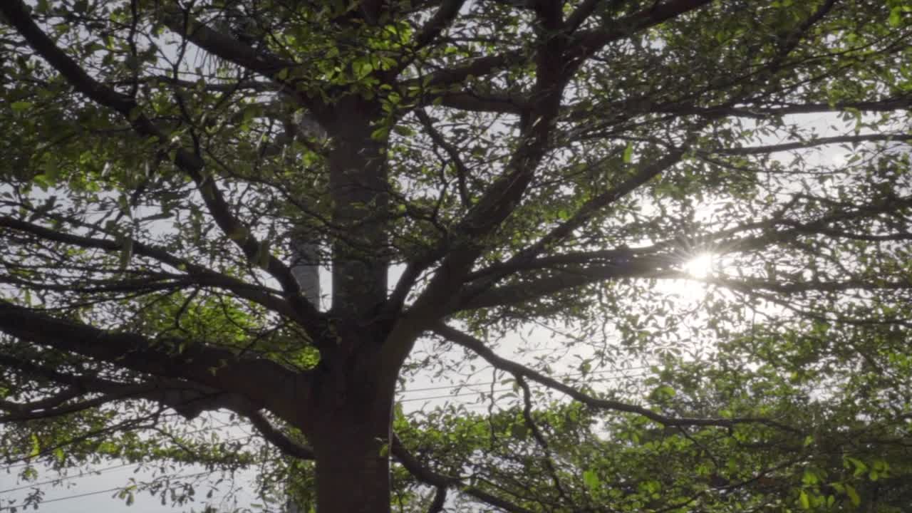 la llamarada de rayos solares es circular.