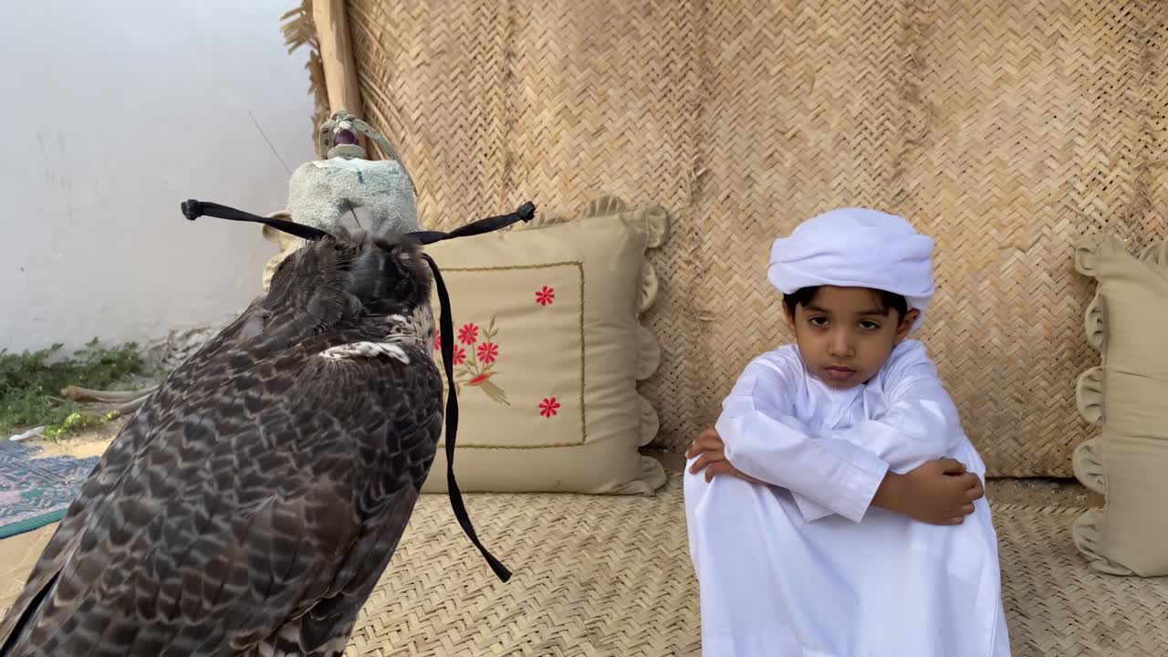 niño emarati en traje tradicional kandura mirando al halcón
