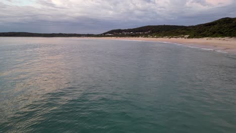 Antena-Delantera-Donde-Puedes-Ver-Algunos-Delfines-Jugando-En-El-Agua-En-La-Playa-De-Fingal,-Nsw,-Australia