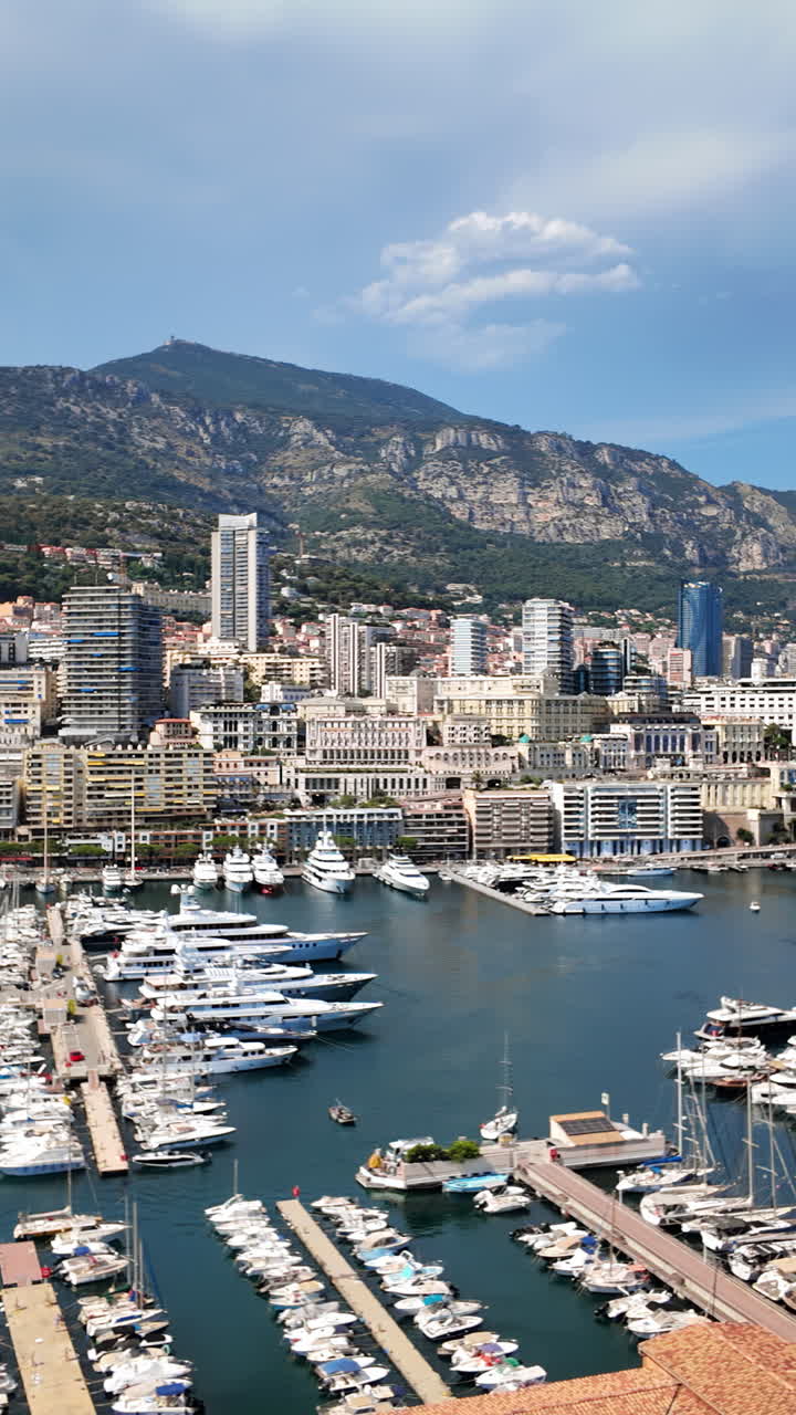 Vista aerea di barche bianche ormeggiate nel porto turistico di Monaco, con lo skyline sullo sfondo. Verticale