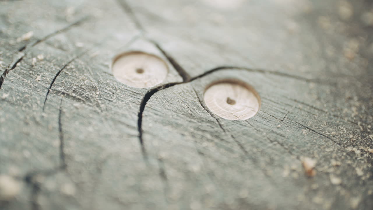 목재 산업 diy 목재 드릴링