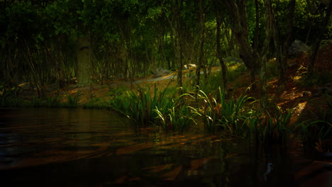 en el bosque del cáucaso alrededor de dombai