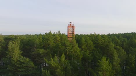 vista aérea del faro de bernati rodeado de un exuberante bosque de pinos verdes con nieve ligera, bosque nórdico, costa del mar báltico, soleado día de invierno, letonia, amplio tiro de drones avanzando sobre las copas de los árboles