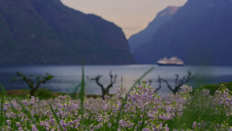 Vista-De-Hermosas-Flores-Violetas-Con-Un-Bote-En-El-Agua-De-Un-Fiordo-Y-Las-Montañas-Al-Fondo