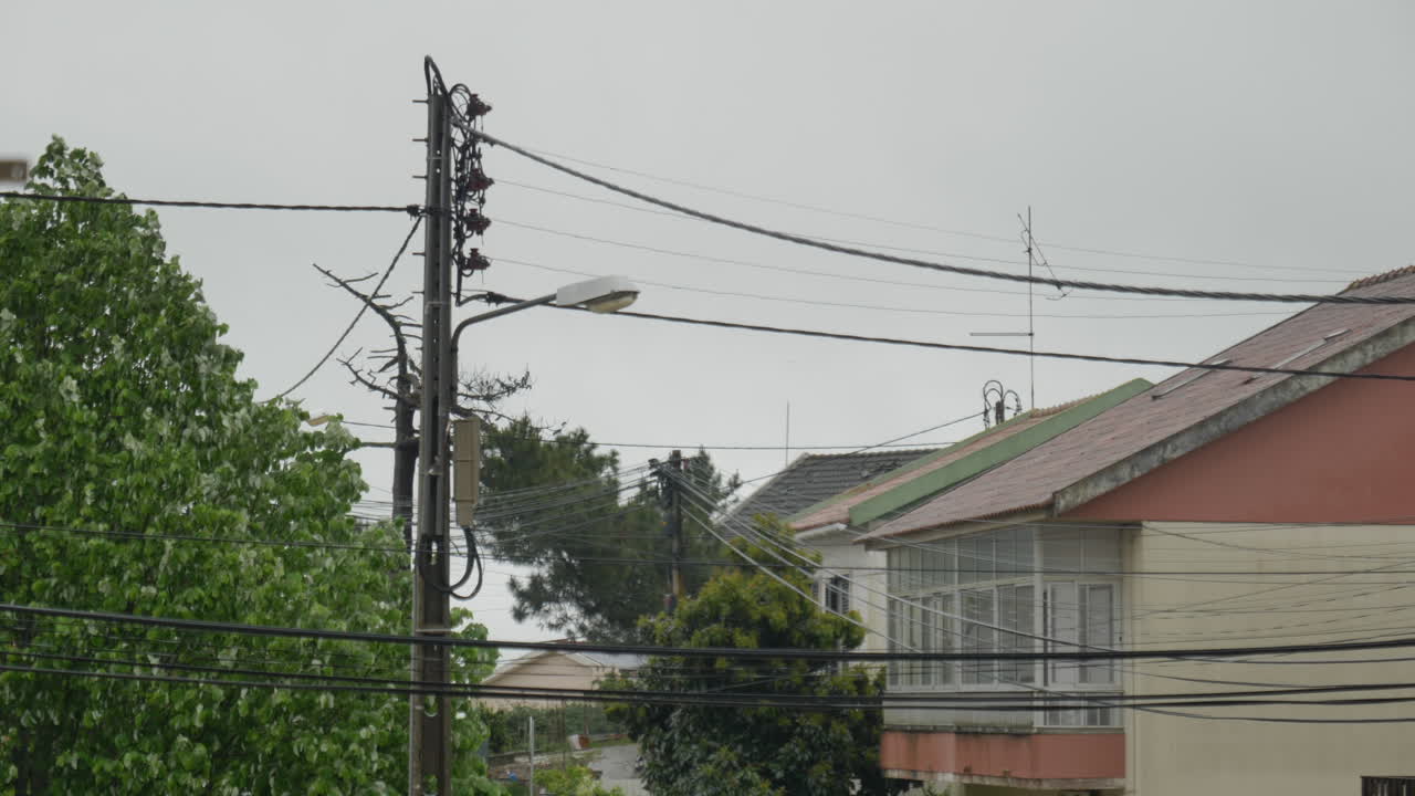 movimiento lento de una lámpara de calle en un día de lluvia y viento