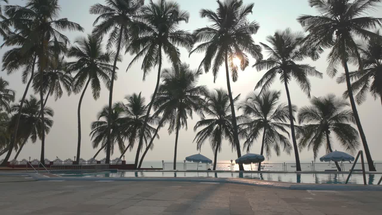 4K video of a beachside luxury swimming pool with palm trees while birds flying by at sunset