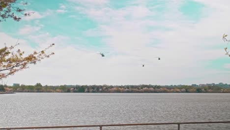3 helicópteros volando en un ejército y la fuerza aérea como estilo sobre el monumento a jefferson en washington dc