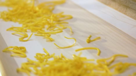 noodles on industrial conveyor belt. industrial food process