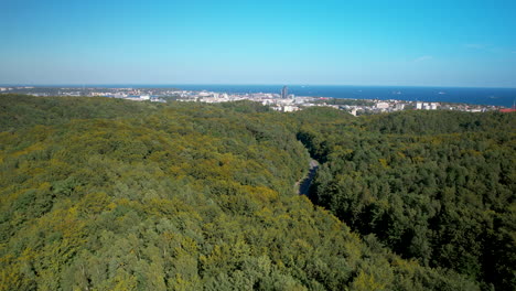 a dense green forest with gdynia and the baltic sea in the distance