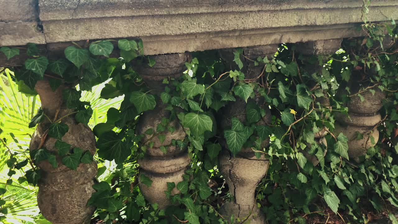 아이비 로 인 돌 의 벽돌