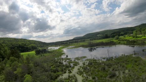 4k videos aéreos del valle del bosque nacional allegheny