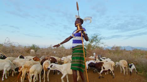 karamojong cattle farmer herding his goats in uganda, africa - wide shot