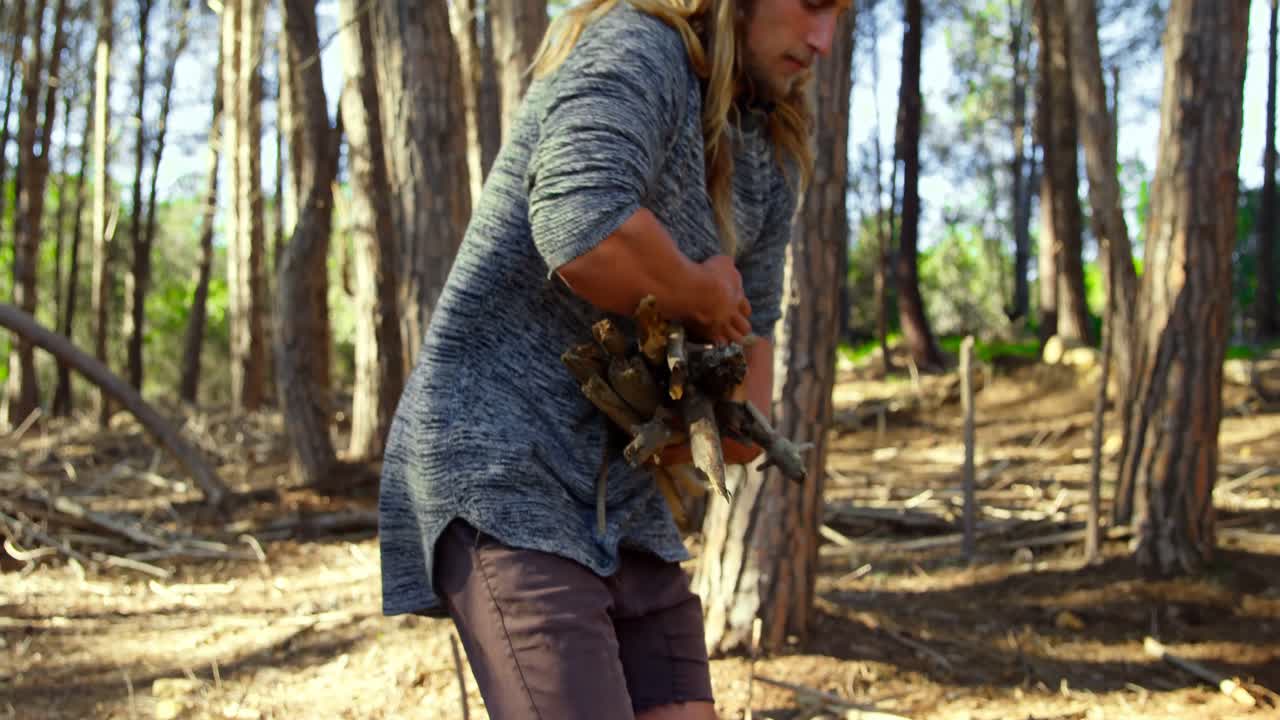 hombre recogiendo palos de madera en el bosque 4k