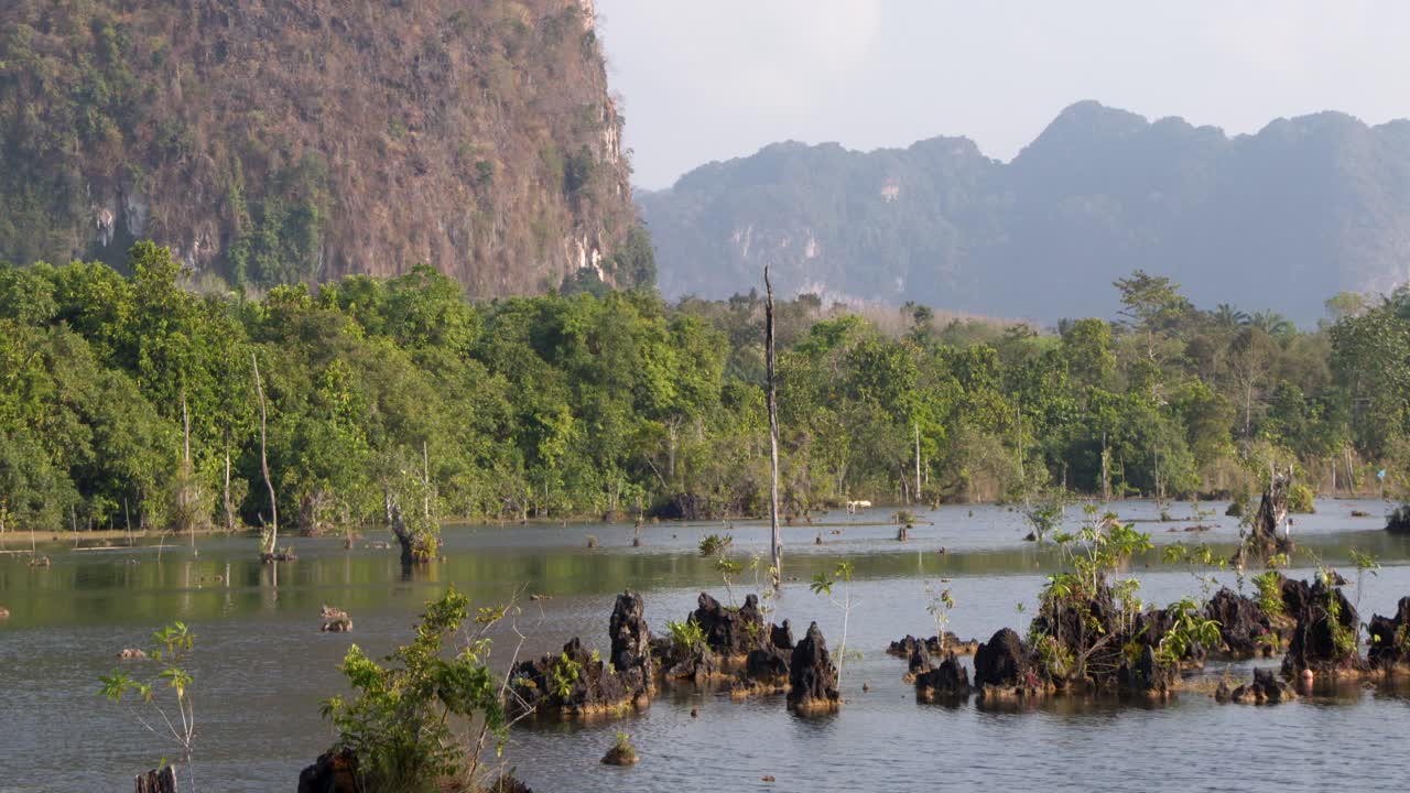 Vùng đất ngập nước nhiệt đới tuyệt đẹp với núi non và cây cối ngập nước