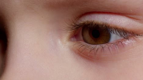 highly detailed macro shot opening, closing brown color pigmentation eyes of little children girl