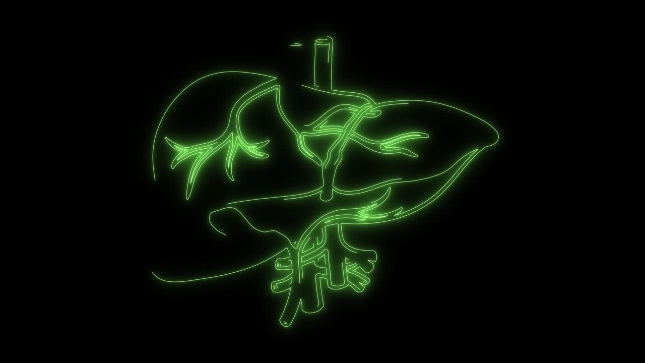 Animated Neon Green Outline of Human Liver Anatomy