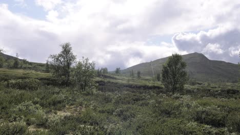 Regen-über-Der-Arktischen-Tundra.-Wunderschöne-Natur-Norwegen.