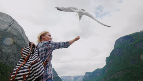 Eine-Frau-Füttert-Eine-Möwe,-Die-Im-Vertrauen-Fliegt-Und-Die-Konzeptreise-Durch-Die-Fjorde-Von-Nor-Zähmt