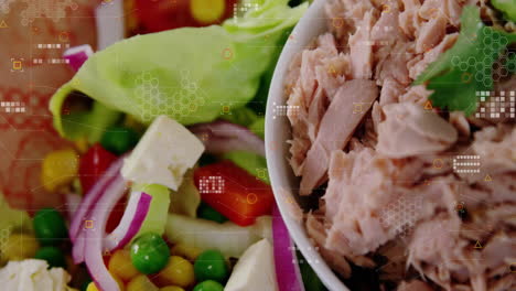 tuna salad with vegetables and digital data processing animation overlay