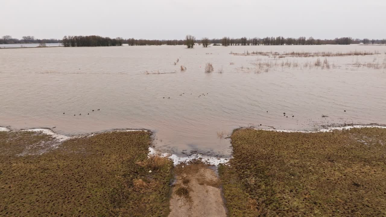 Flood waters in the river Waal, Gorinchem, Netherlands