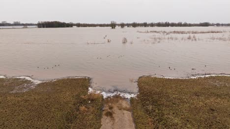 Flood-waters-in-the-river-Waal,-Gorinchem,-Netherlands