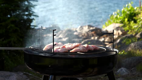 smoking fillets on outdoor coal grill, slow motion