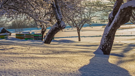 the sun casts shadows on the snow as it passes trees and a farmer's beehives - winter time lapse