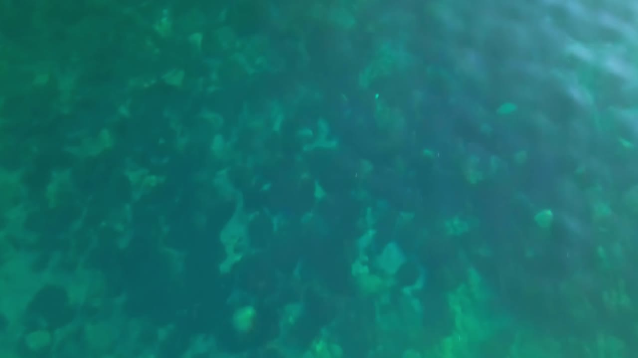 drone pov moviéndose hacia atrás en una playa con un mar claro, inclinándose hacia el horizonte