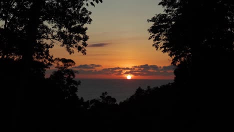 vista del atardecer a través del bosque en el horizonte