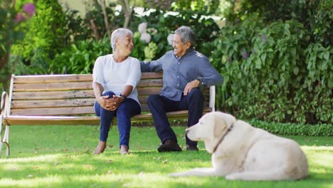 video of happy biracial senior couple embracing and sitting on bench in garden with dog