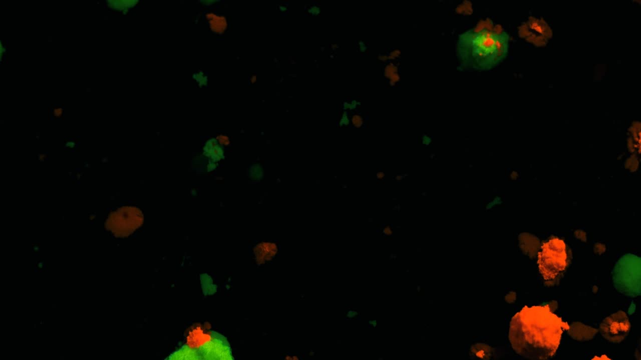 las partículas fluorescentes volumétricas naranja y verde se mueven y cambian en un fondo negro en movimiento, transición.