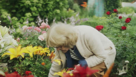 senior woman tending to her flower garden