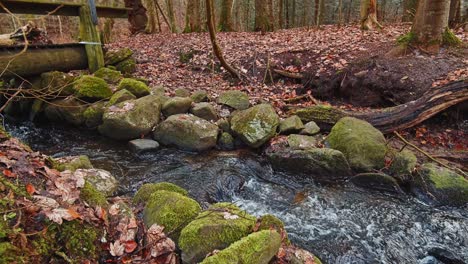 Der-Fluss-Im-Herbstwald-Und-Die-Sonne,-Die-Durch-Das-Laub-Scheint