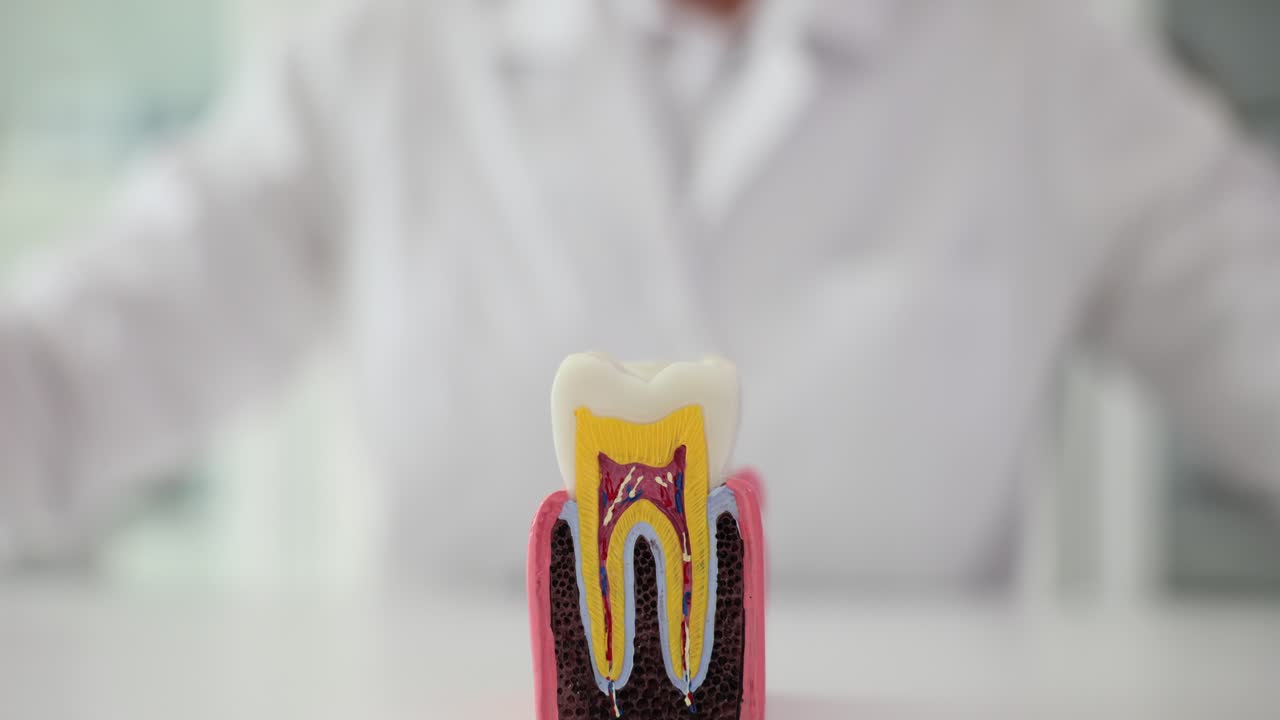 Dental Hygiene and Care