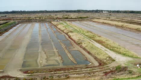 Draufsicht-Naturschutzgebiet,-Salzteiche,-Ile-de-Ré,-Frankreich