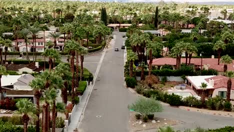 drone shot of palm spring looking down to reveal the street and houses from a birds eye view