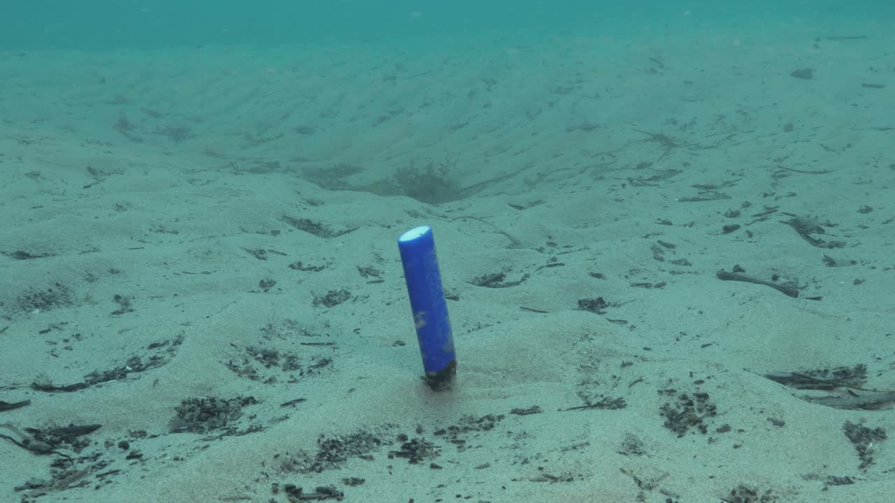 Underwater footage of a discarded cigarette lighter bobbing along the sea floor in the ocean current