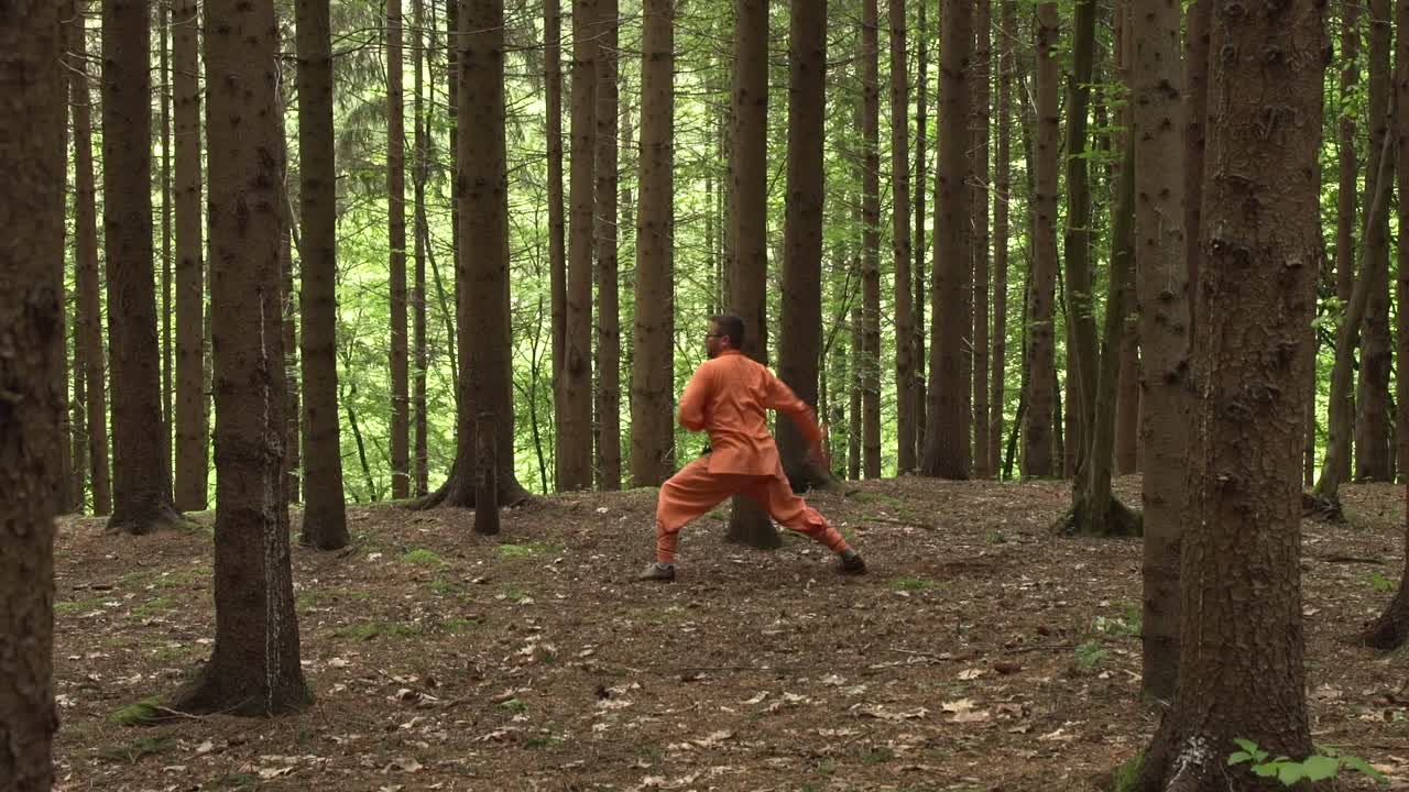 Chinese Martial Arts - Man Practicing Kung Fu In The Forest With Tall Trees. - wide shot