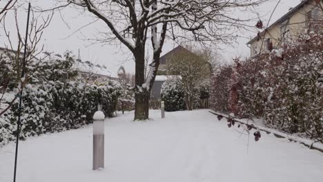 motion shot of snowing in a garden