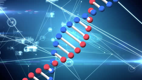 Animation-Der-DNA-Strangspinnen-Mit-Datenverarbeitung-Und-Netzwerk-Von-Verbindungen