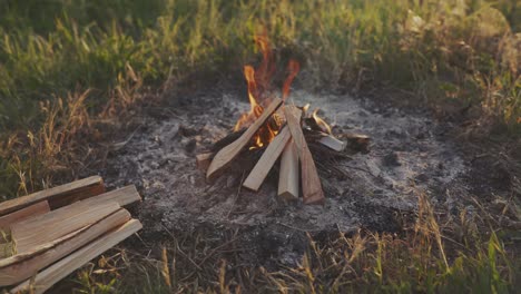 burn fire with wood on beach camp