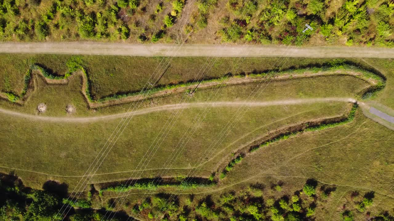 antena: campo de murciélagos en natterer's wood, suffolk - toma de seguimiento de drones