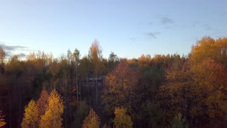 Aerial-shot-rising-above-the-trees-and-revealing-abandoned-warehose-between-the-woods---sunny-autumn-evening