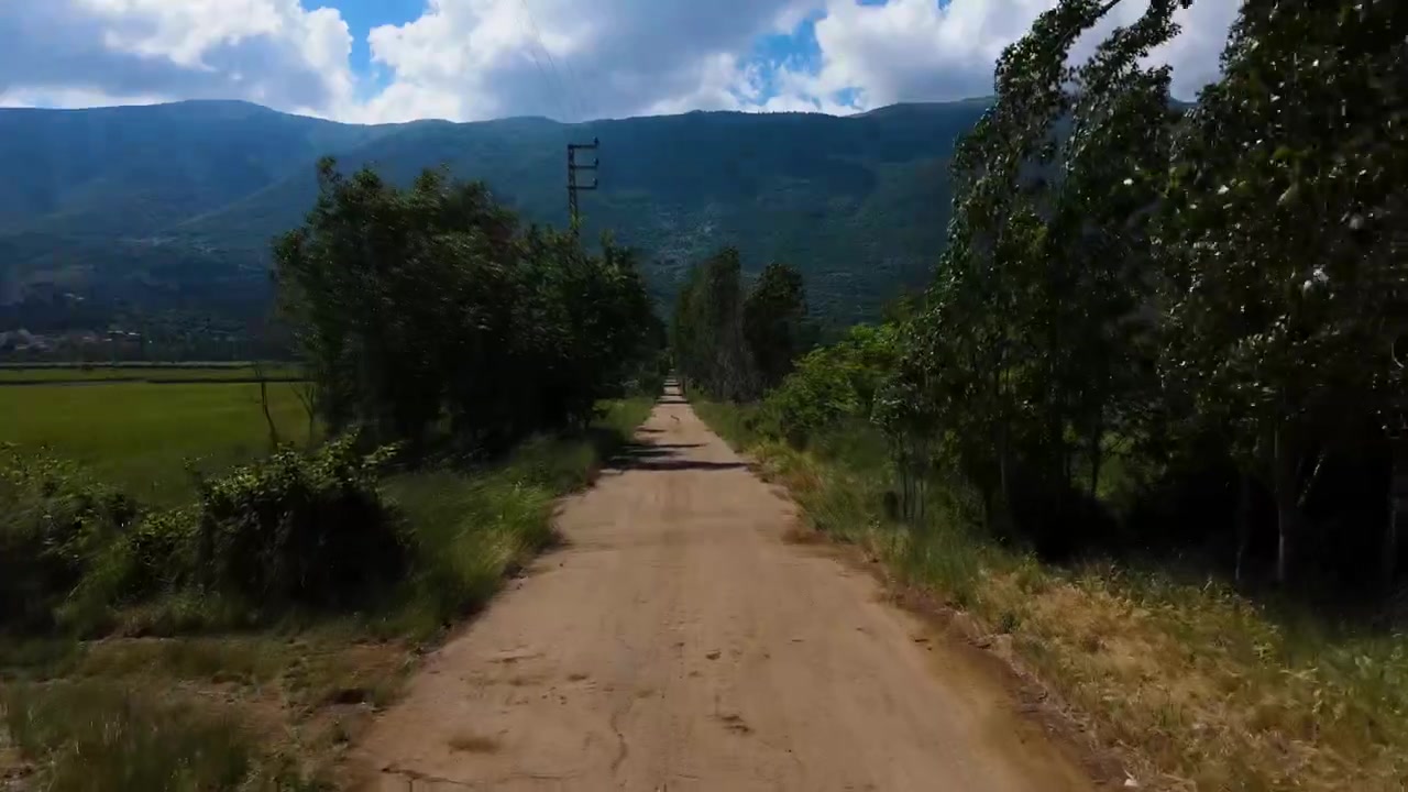 Un filmato frontale segue una tranquilla strada sterrata fiancheggiata da alberi alti, campi recintati e paesaggi montani sotto la luminosa luce estiva.