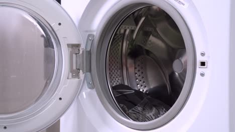 little black and tan dachshund comes and uploads into the opened washing machine drum laundries for wash. humor concept of pet housekeeping and great household day.