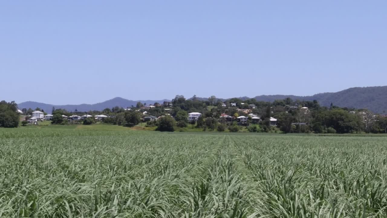 A serene view of a green field with hills and a small village in the background.