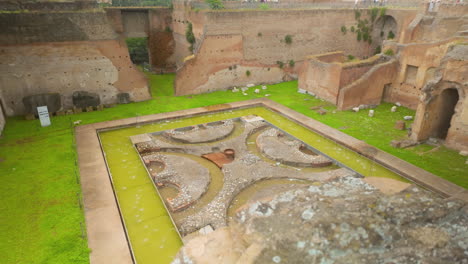 scattered roman stone relics among ruins with vegetation on a historical site