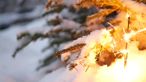 christmas tree in snow, sparkler firework burning, new year or xmas bengal light