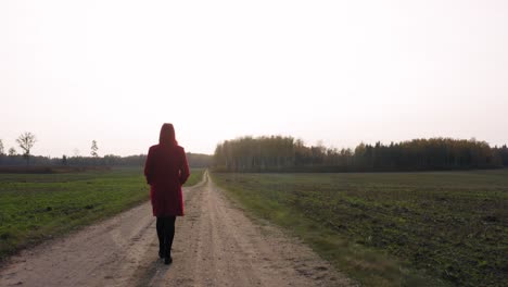 chica solitaria con abrigo rojo caminando lento hacia el sol brillante y el bosque