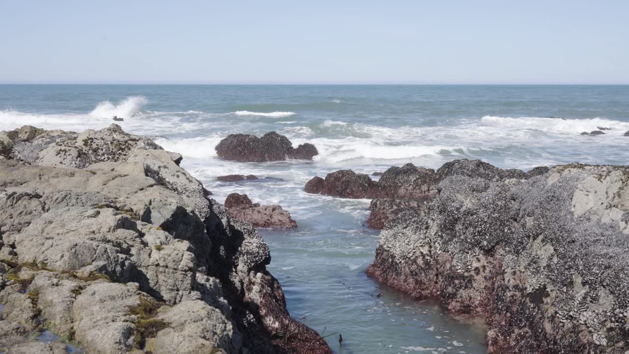 Rocky beach ocean view at Bodega Bay in California.